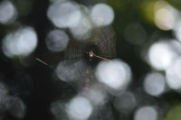 /album/fotogalerij1/dsc-0786-jpg/