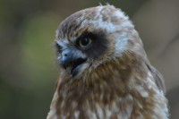 /album/fotogalerij1/dsc-0805-jpg/