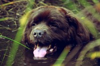 /album/fotogalerij1/fotor080613584-jpg/