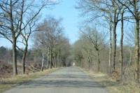 /album/fotogalerij-fotogalerij/dsc-0520-jpg/