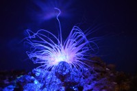 /album/fotogalerij-fotogalerij/dsc-0014-jpg/