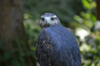 /album/fotogalerij1/dsc-0768-jpg/