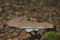 /album/fotogalerij-fotogalerij/dsc-1254-jpg/