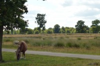 /album/fotogalerij1/dsc-1240-jpg/