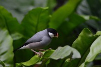 /album/fotogalerij1/dsc-1310-jpg/