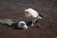 /album/fotogalerij1/dsc-1380-jpg/