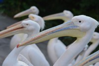 /album/fotogalerij1/dsc-1410-jpg/