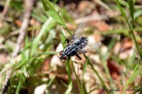 /album/fotogalerij-fotogalerij/a10269298-758184380899466-450802118214222100-o-jpg/