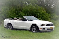 /album/bruiloften/fernardo-jessica-kids160-jpg/